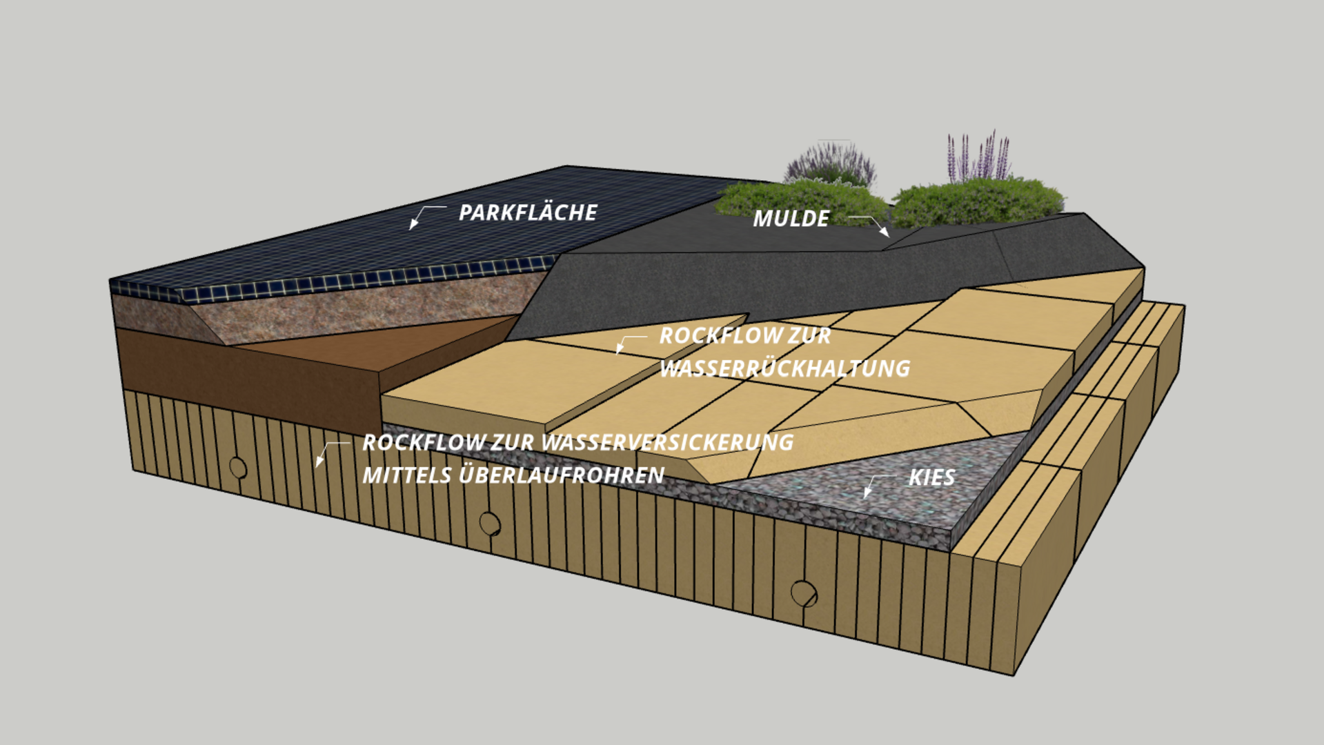 20211215 RW-LF ILLUS 64